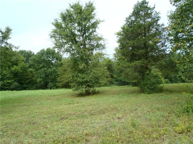 1 Mount Olivet Road Wartrace, TN 37183 - Photo 9 of 11 Gallery Image 9