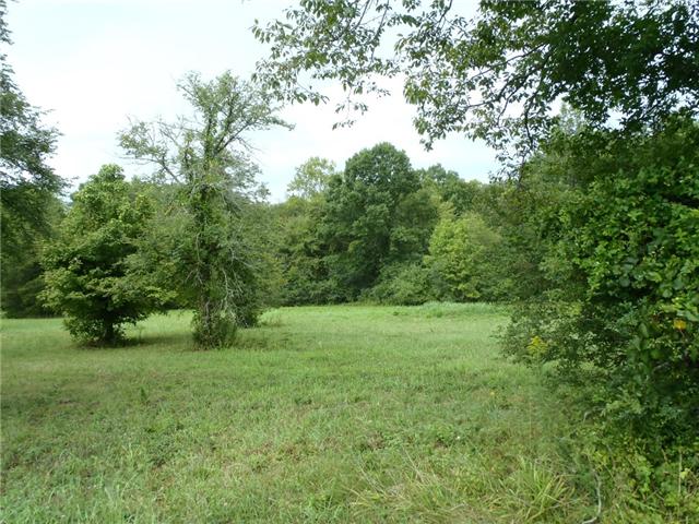 1 Mount Olivet Road Wartrace, TN 37183 - Photo 10 of 11 Gallery Image 10