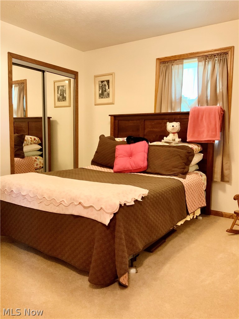 6320 Spieth Road Medina, OH 44256 - Photo 12 of 19 Gallery Image 12