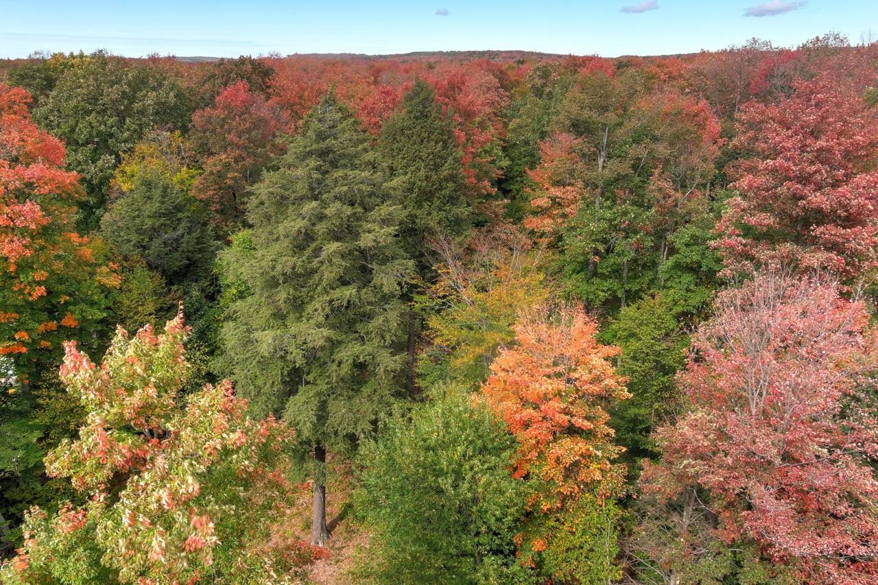 Z0 Homestead Road Beulah, MI 49617 - Photo 14 of 14