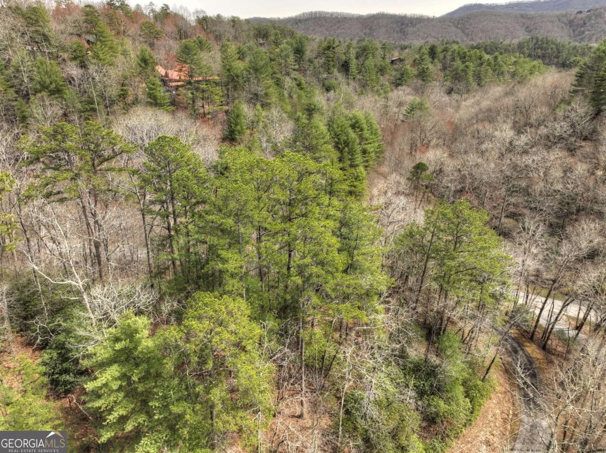 308 Lakota Trail, Unit 308 Blue Ridge, GA 30513 - Photo 1 of 1