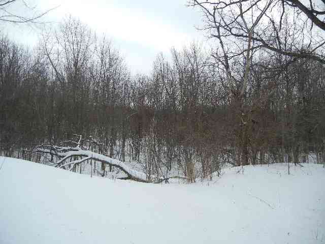 7614 Sayles Road Yale, MI 48097 - Photo 5 of 17 31043023-4.JPG