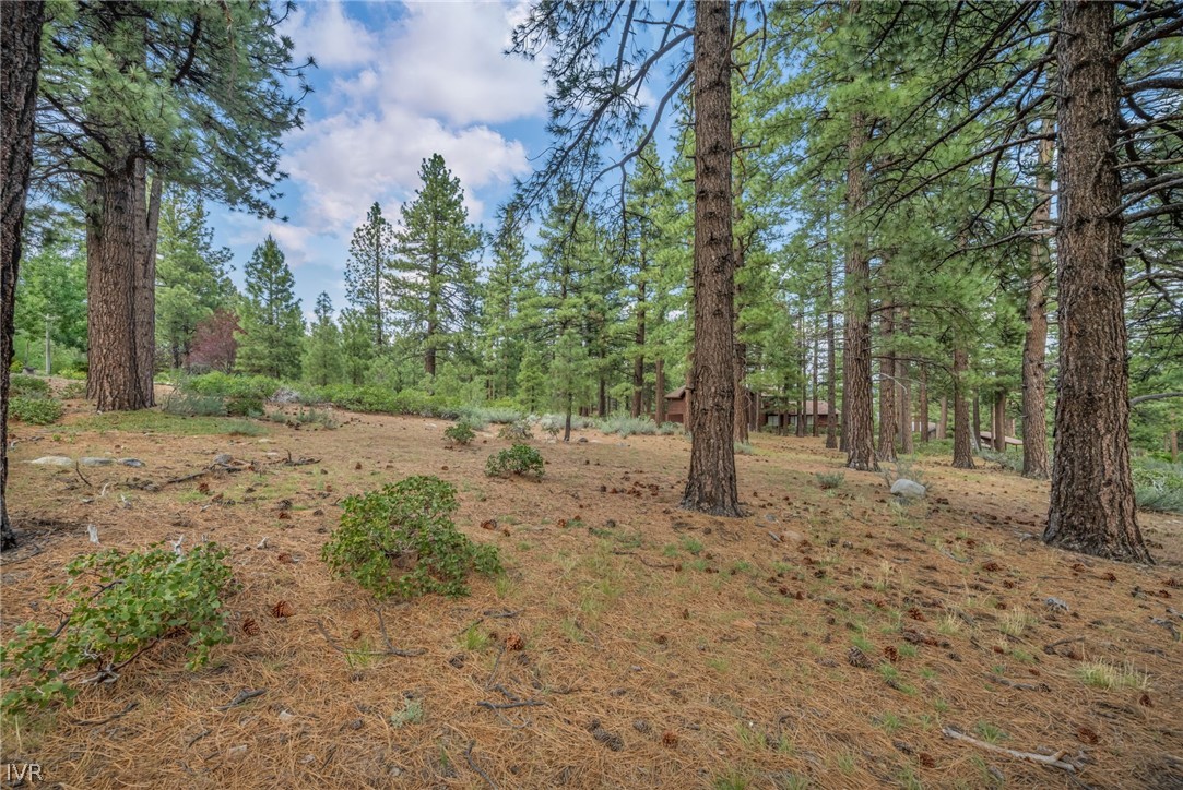 307 East Jeffrey Pine Road Reno, NV 89511 - Photo 8 of 19 Gallery Image 8
