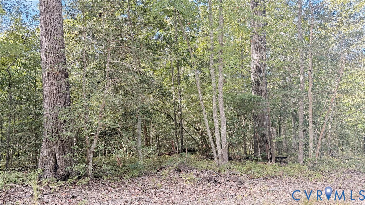 W Rosegaerden Rd West Rosegaerden Rd Garden Road King William, VA 23086 - Photo 2 of 3 Additional content