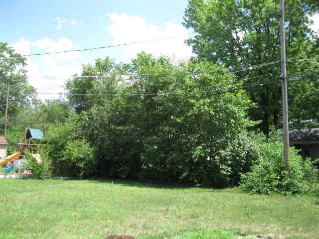 11348 Erdmann Road Sterling Heights, MI 48314 - Photo 36 of 39 31323054-35.JPG