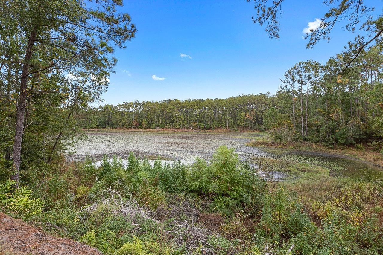 84 Lakeside Road Monticello, FL 32344 - Photo 22 of 49