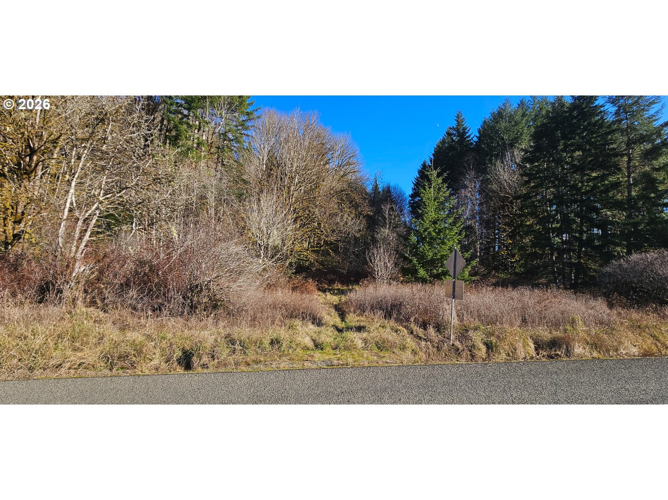 0 Northrup Creek Road Clatskanie, OR 97016 - Photo 2 of 11 a view of a yard with mountain