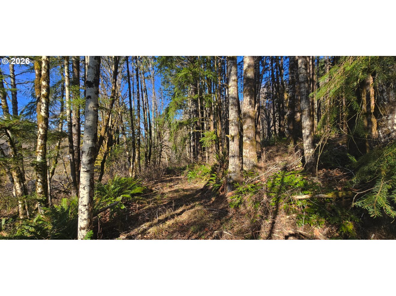 0 Northrup Creek Road Clatskanie, OR 97016 - Photo 6 of 11