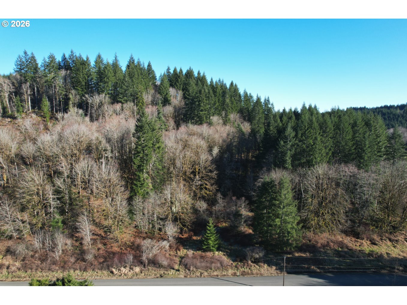 0 Northrup Creek Road Clatskanie, OR 97016 - Photo 7 of 11 a view of a yard in a forest