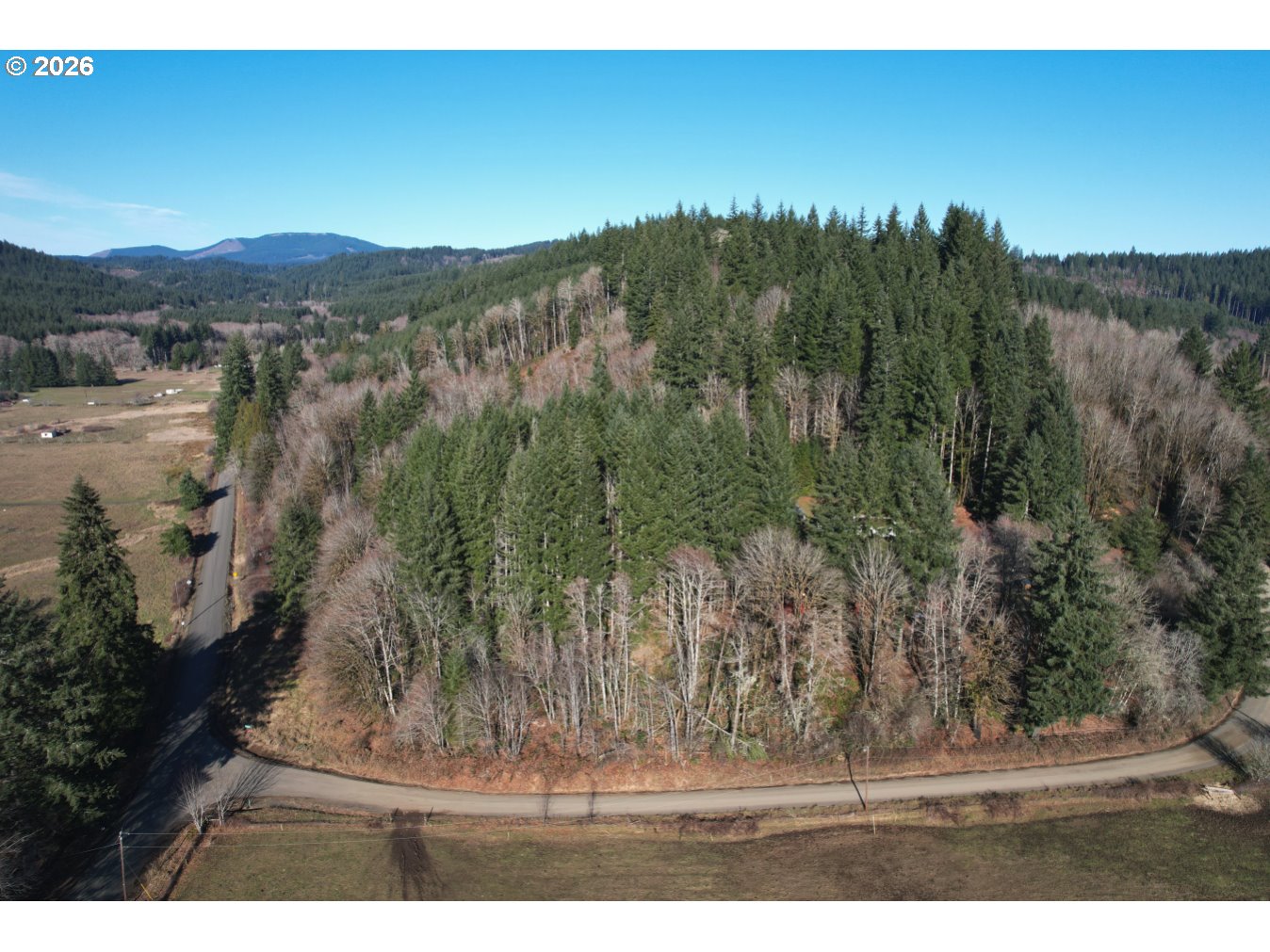 0 Northrup Creek Road Clatskanie, OR 97016 - Photo 10 of 11 an aerial view of mountain with trees in the background