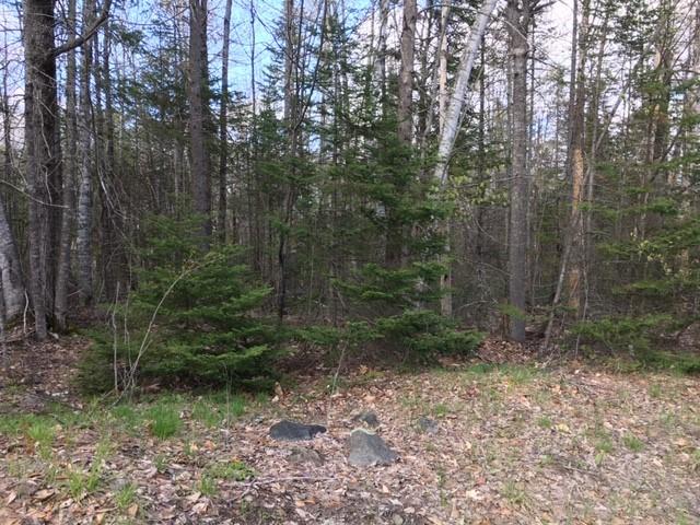 Lot 302 Stream Road St. Albans, ME 04971 - Photo 3 of 6 Land 3