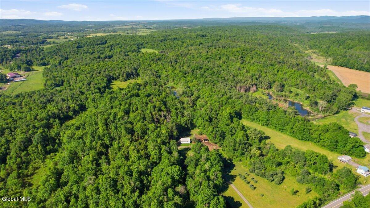 11079 Highway 22 Comstock, NY 12821 - Photo 15 of 16 11079 New York 22