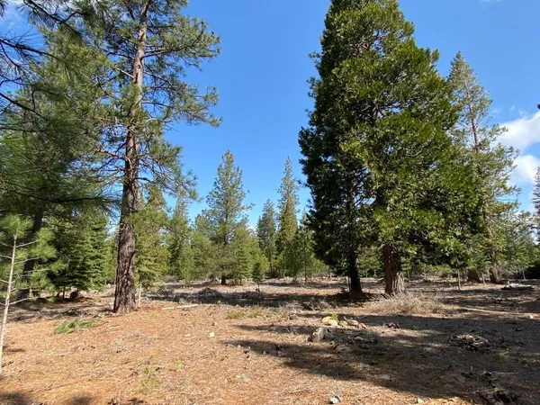 $100,000 | Lot 61 Heather Place, Weed, CA 96094