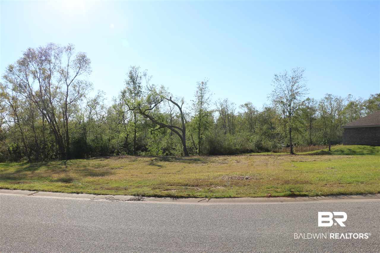 Lot 41 Thames Drive Foley, AL 36535 - Photo 9 of 14