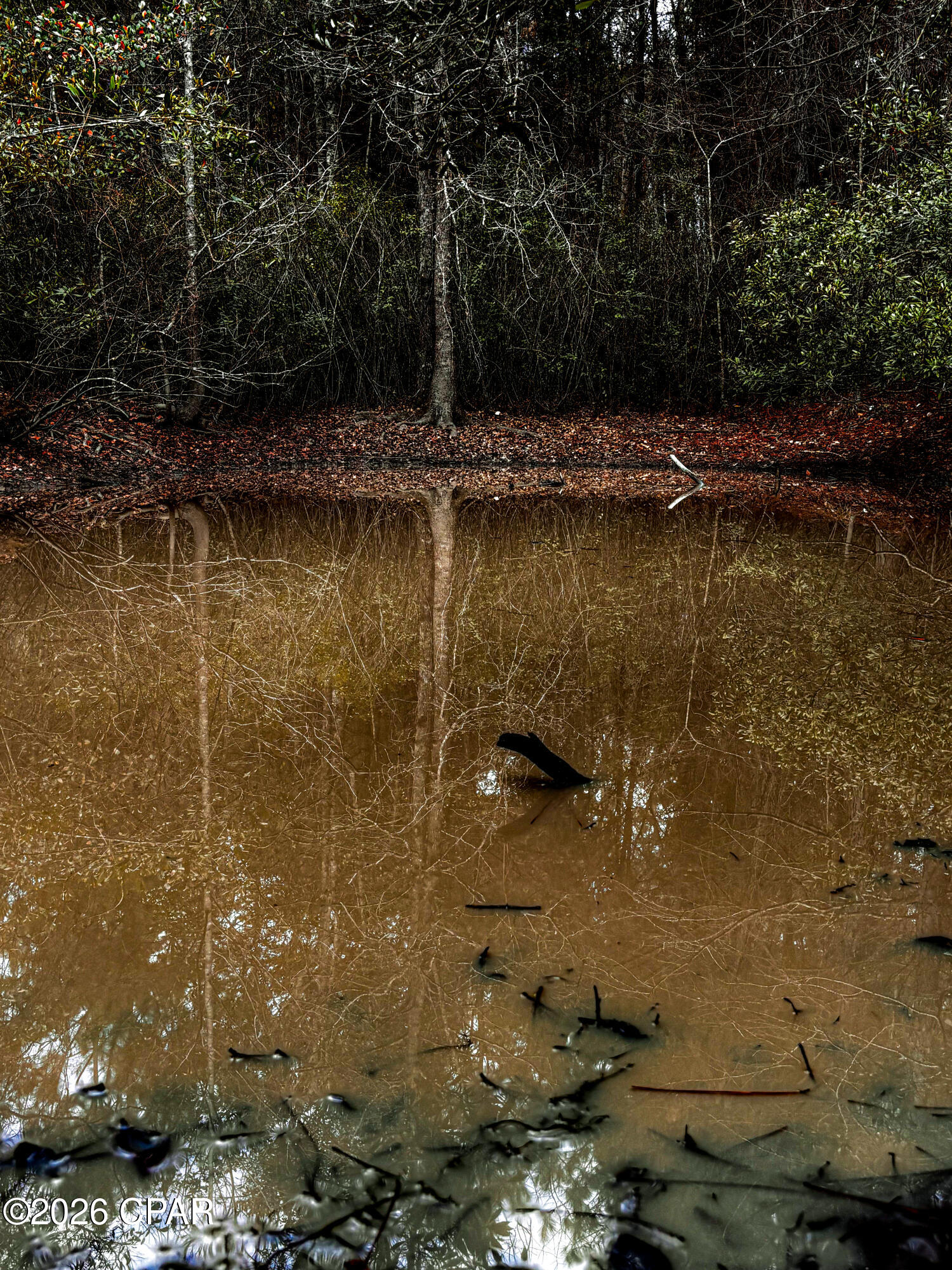 0 Hwy 77 Chipley Chipley, FL 32428 - Photo 4 of 23