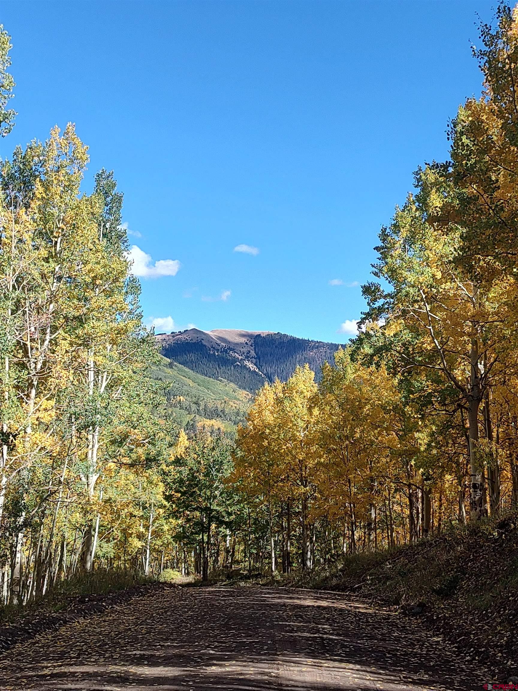 a view of a yard with an outdoor space and seating