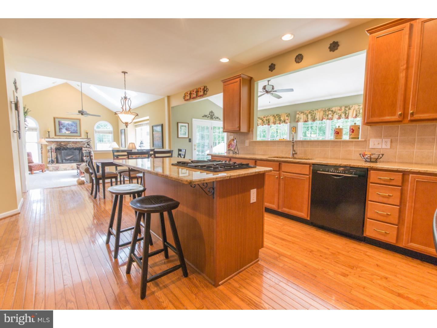 3637 Green Ridge Road Furlong, PA 18925 - Photo 10 of 25 Kitchen
