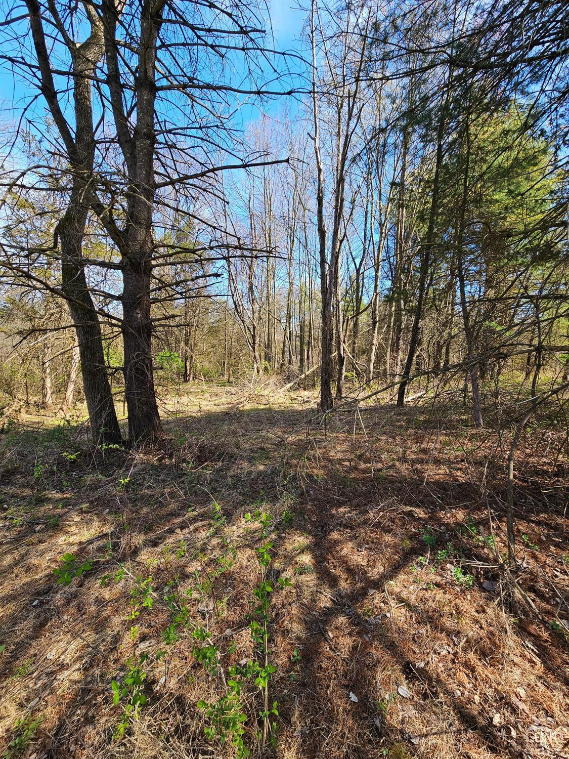 1105 Sleepy Hollow Road Athens, NY 12015 - Photo 2 of 10 Photo 2