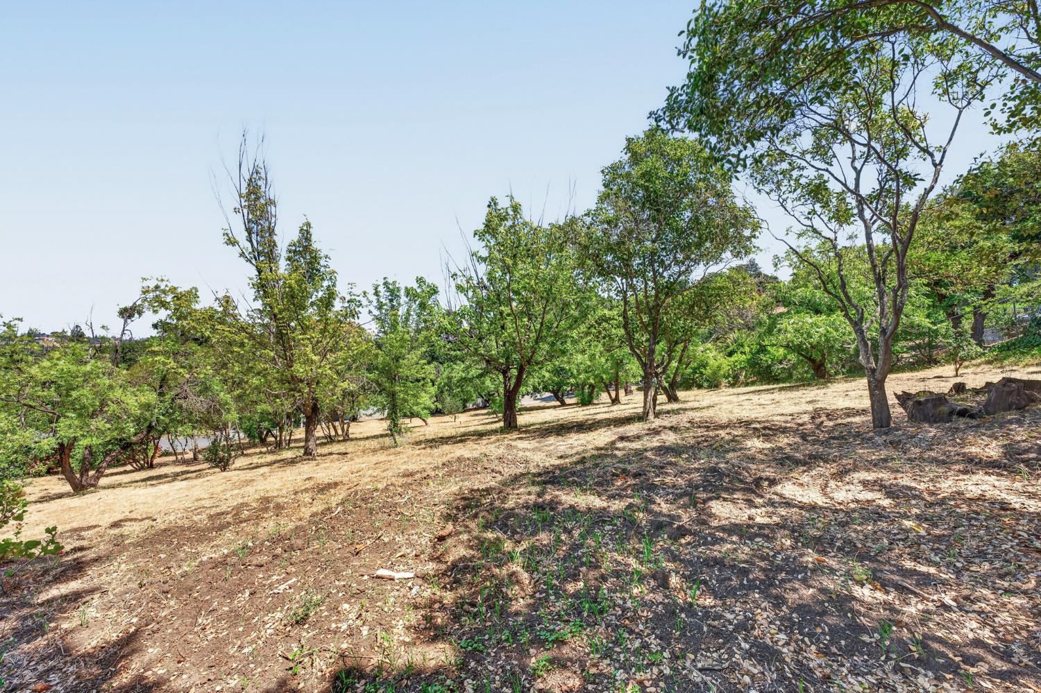 1543 Rancho View Drive Lafayette, CA 94549 - Photo 57 of 86
