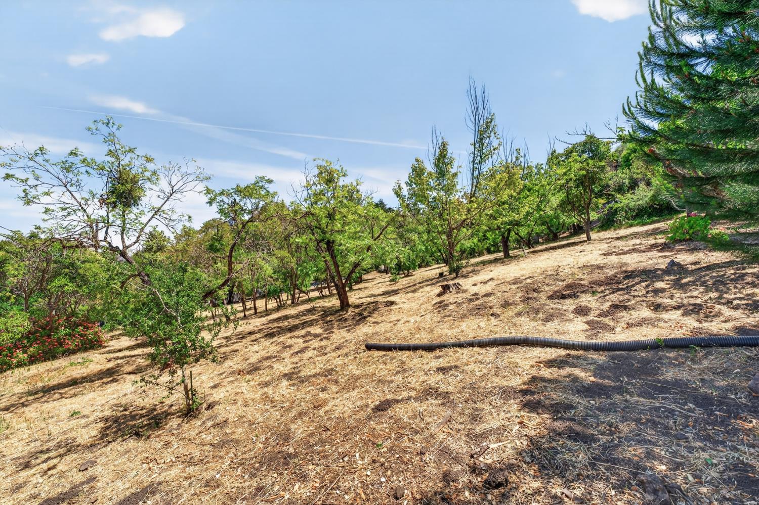 1543 Rancho View Drive Lafayette, CA 94549 - Photo 61 of 86