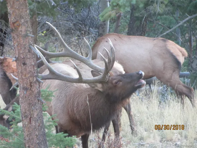 a view of a covered with snow on the road