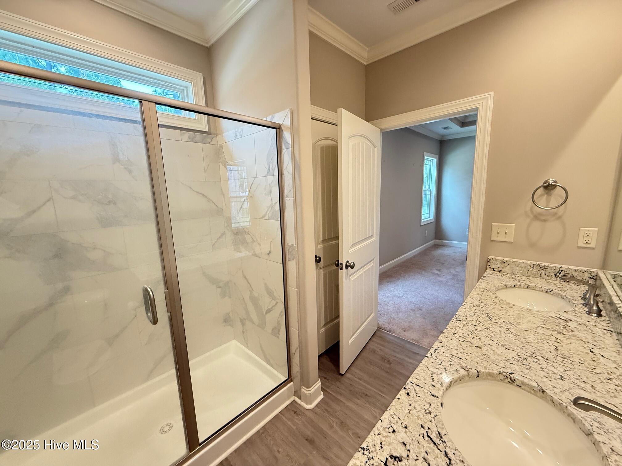 1306 Old Folkstone Road Sneads Ferry, NC 28460 - Photo 19 of 29 Master Bath