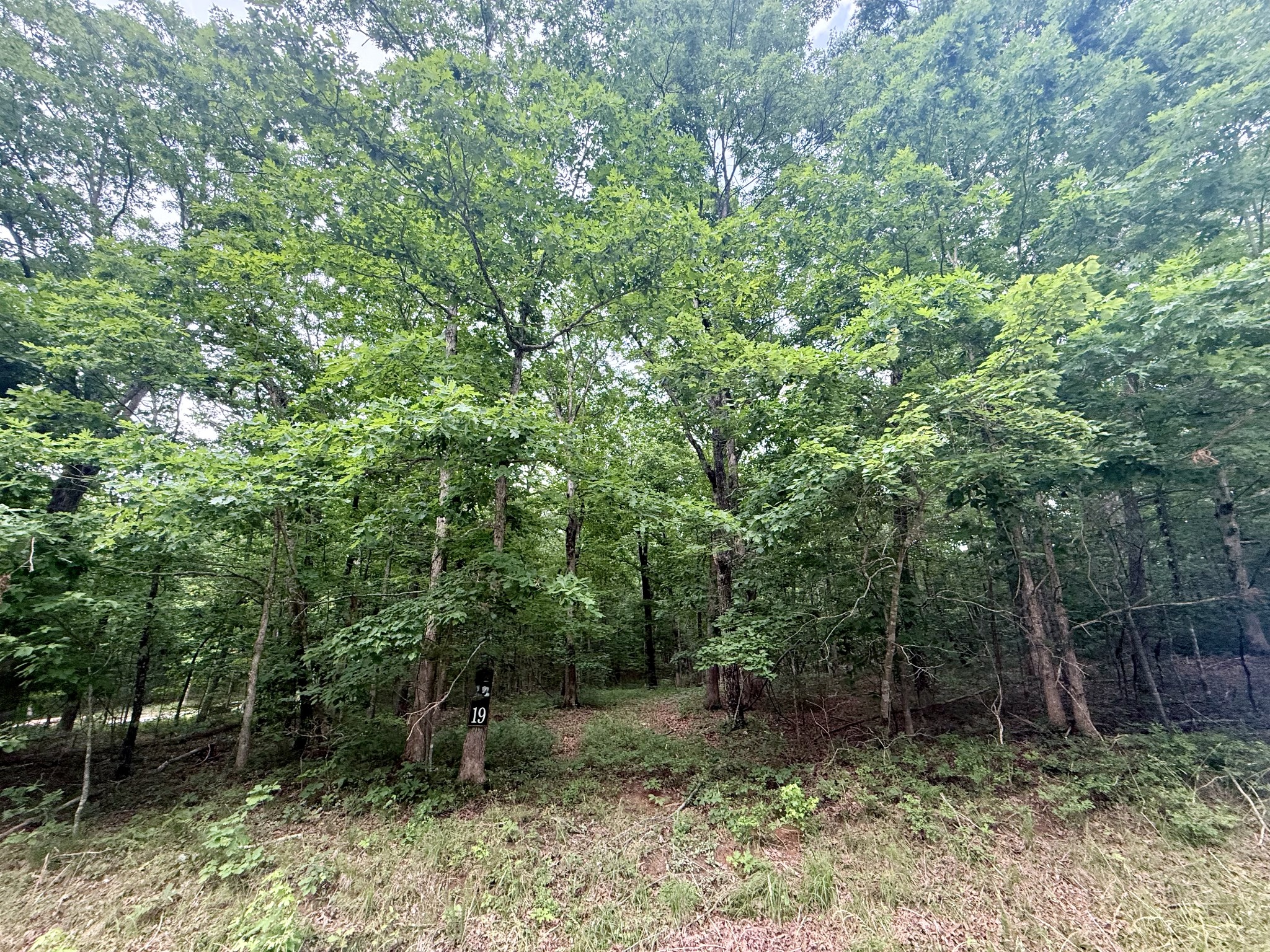 0 Deepwoods Road Sewanee, TN 37375 - Photo 2 of 8