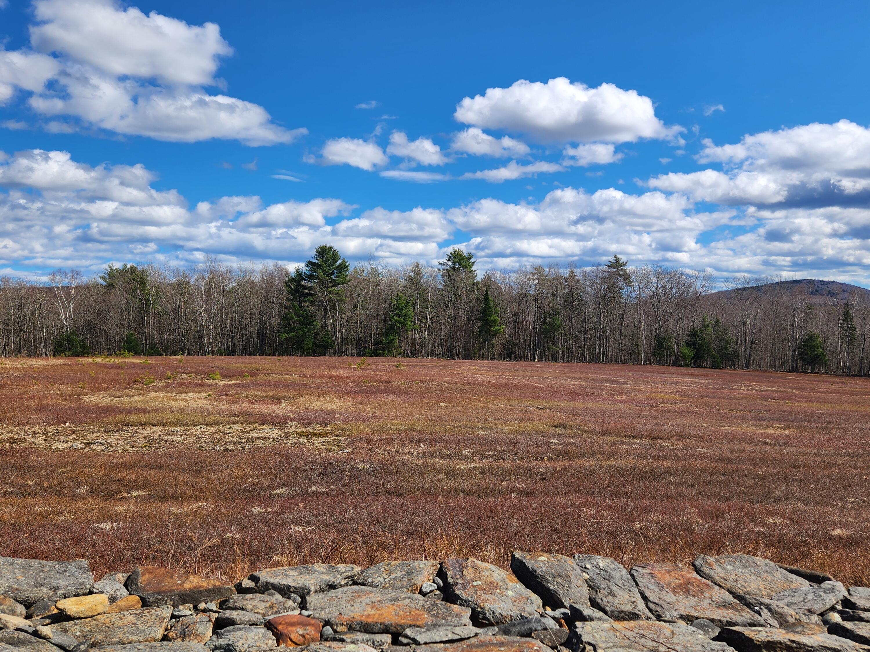 85 Blueberry Hill Road Hope, ME 04847 - Photo 5 of 25 20240416_150249 - Copy