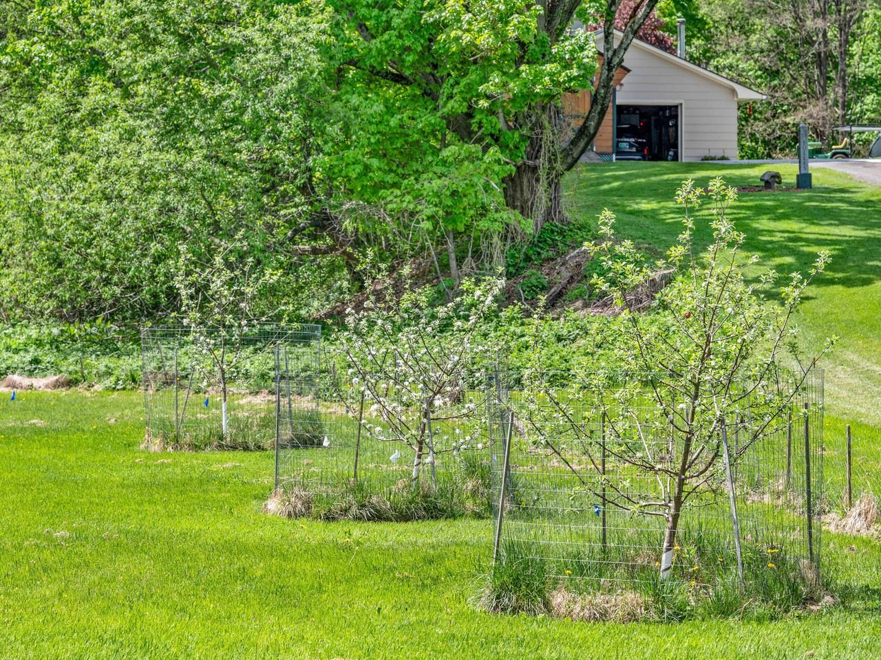 343 Sierra Lavin Road Barre Town, VT 05641 - Photo 28 of 57