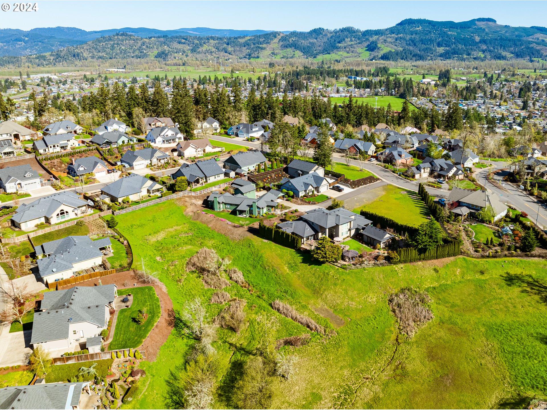 6234 Graystone Loop Springfield, OR 97478 - Photo 42 of 43 a view of a city with mountains in the background