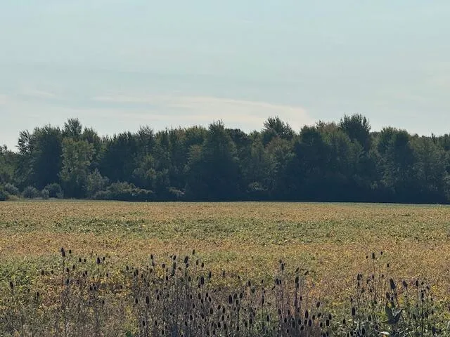 $1,250,000 | 7200 Highway 12, Three Oaks, MI 49128