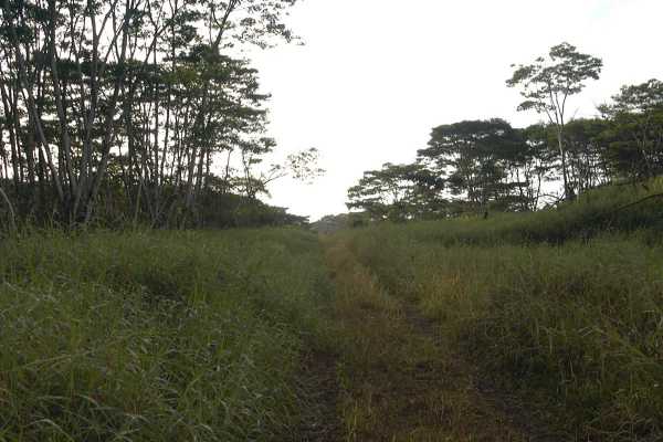 South Enos Road Mountain View, HI 96771 - Photo 3 of 4 Gallery Image 3