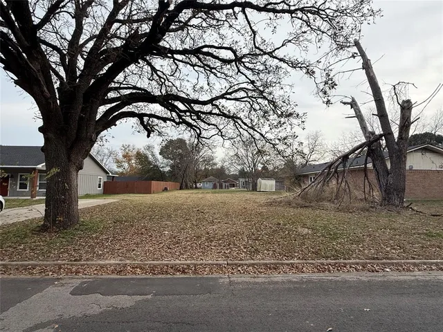 a view of a yard with a tree