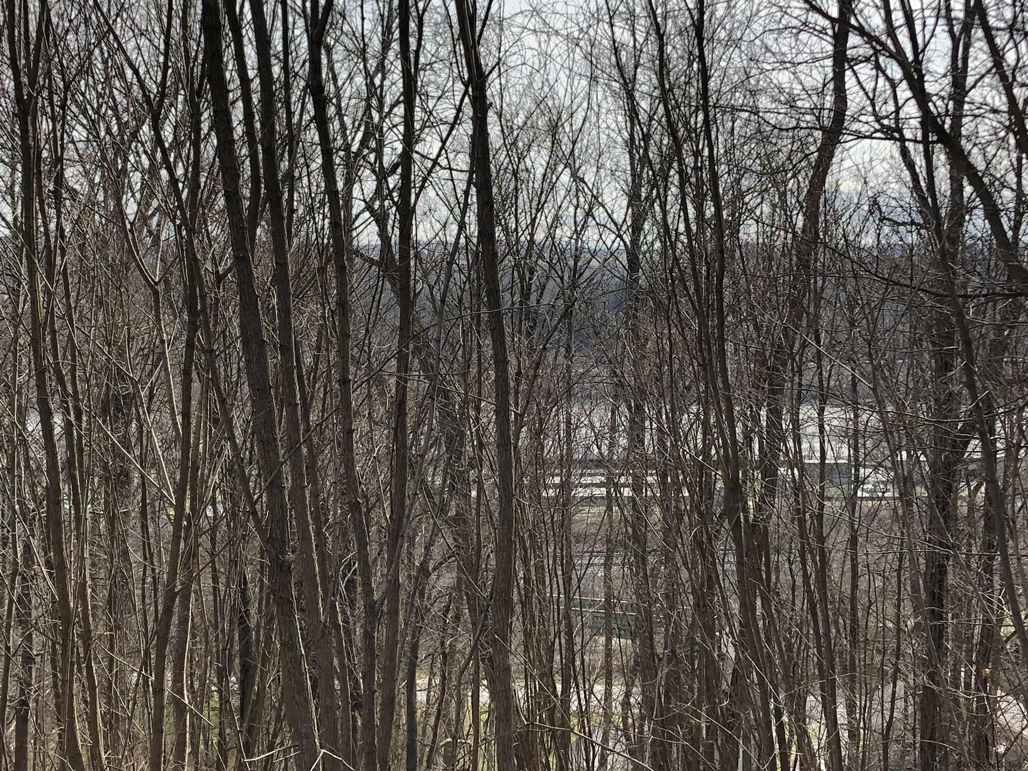 0 Widow Susan Road Amsterdam, NY 12010 - Photo 9 of 28 Photo 9