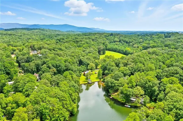a view of a pathway of a garden