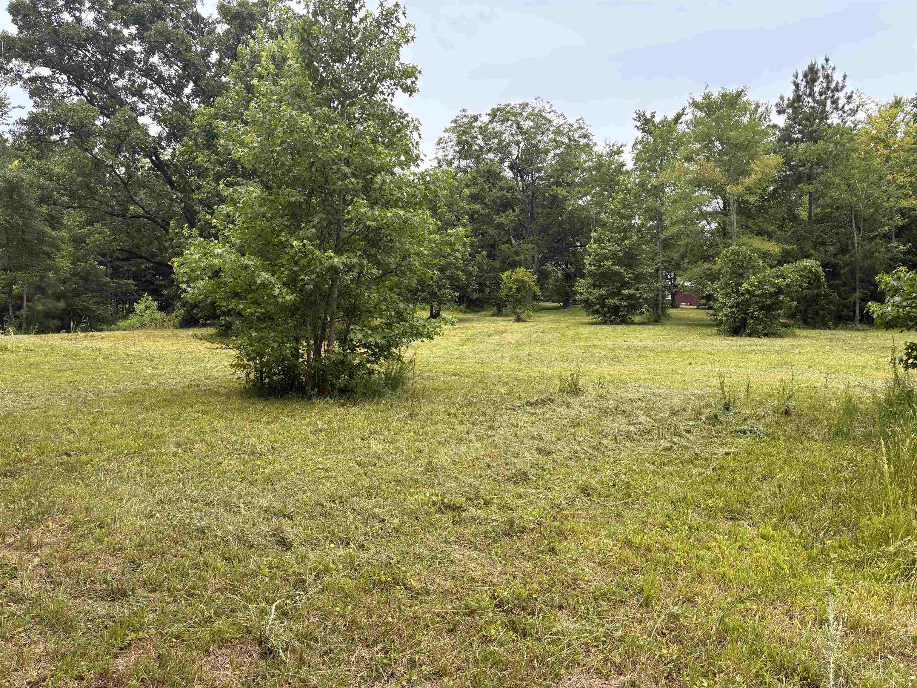 Lot 2 State Rd S-11-54 Gaffney, SC 29340 - Photo 8 of 13