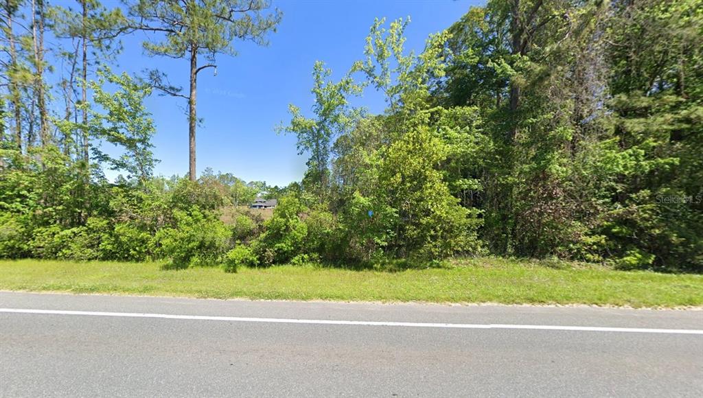 4454 County Road 218 Middleburg, FL 32068 - Photo 2 of 6 a view of a house with a yard and potted plants