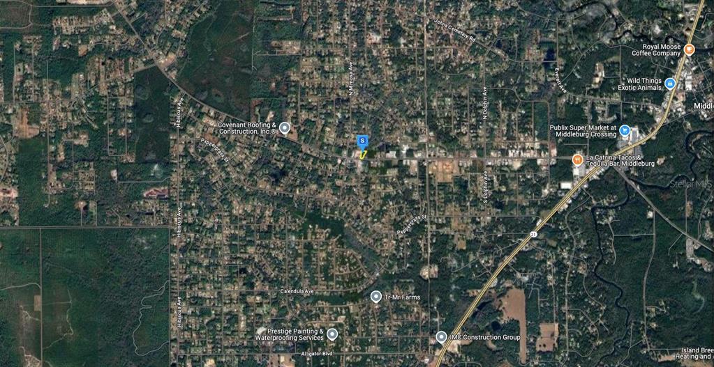 4454 County Road 218 Middleburg, FL 32068 - Photo 4 of 6 a picture of tree