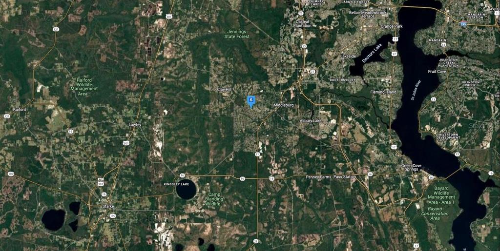 4454 County Road 218 Middleburg, FL 32068 - Photo 5 of 6 a view of a tree in a forest