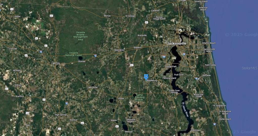 4454 County Road 218 Middleburg, FL 32068 - Photo 6 of 6 a close up of a tree