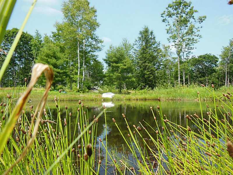 293 Genthner Road Waldoboro, ME 04572 - Photo 6 of 30 Other. Farm Pond