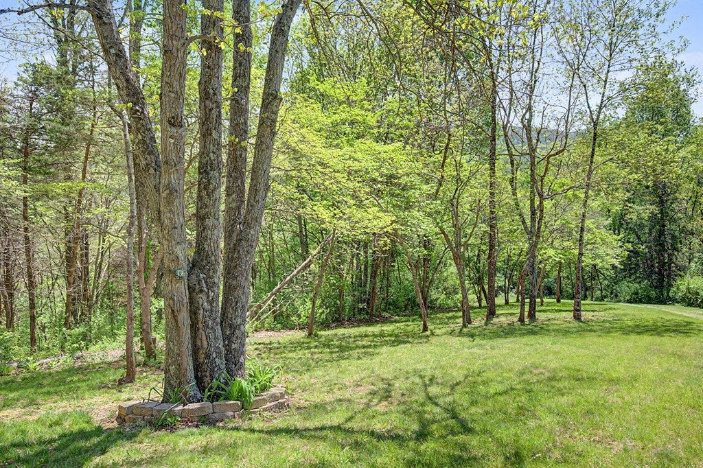 805 Sunset River Road Ceres, VA 24318 - Photo 58 of 77 Gallery Image 58
