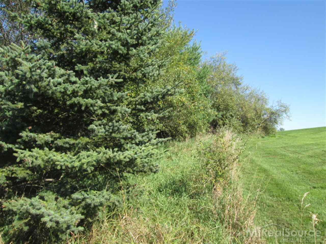 65338 Dequindre Road Washington, MI 48095 - Photo 15 of 28