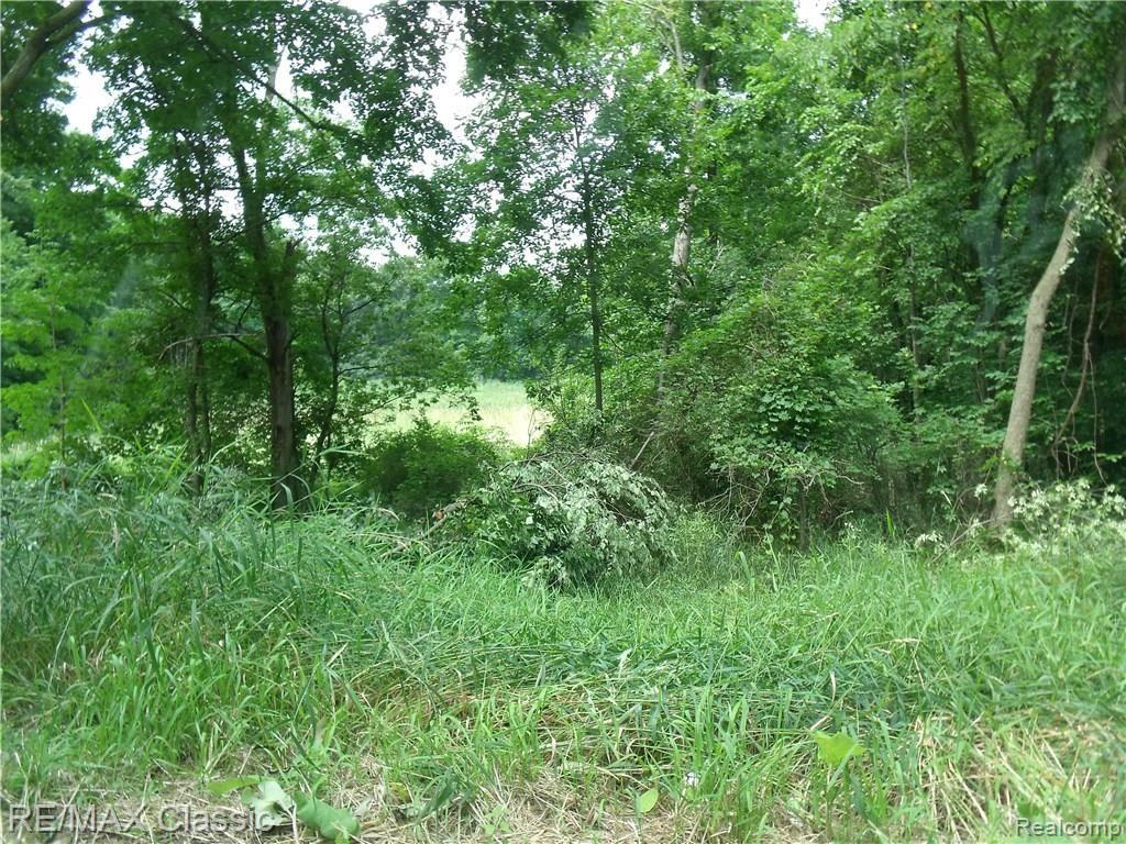 0 Rattalee Lake Rd J Two High Elevation Knolls Holly, MI 48442 - Photo 1 of 4