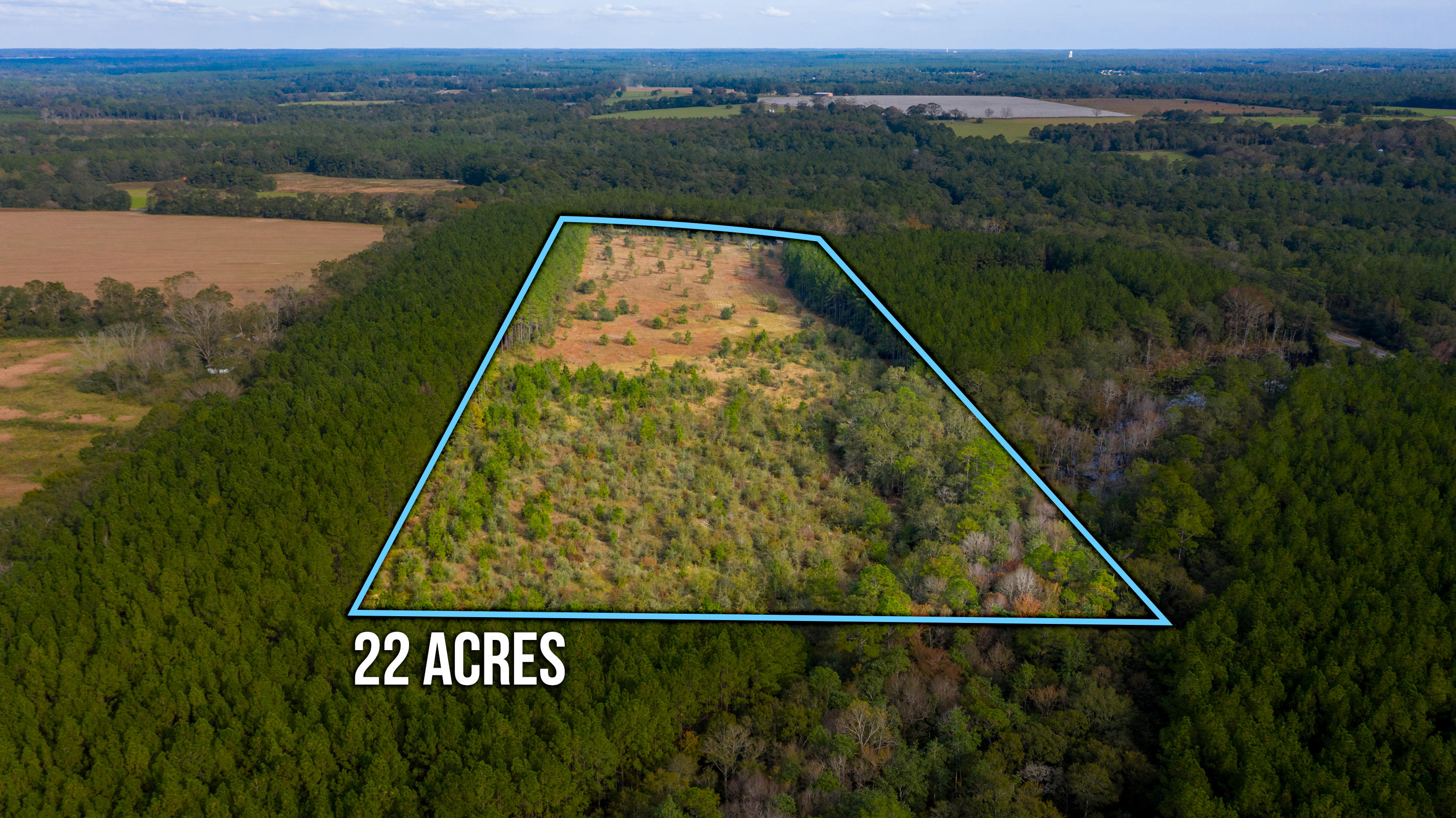 22-acres Williams Road DeFuniak Springs, FL 32433 - Photo 5 of 5