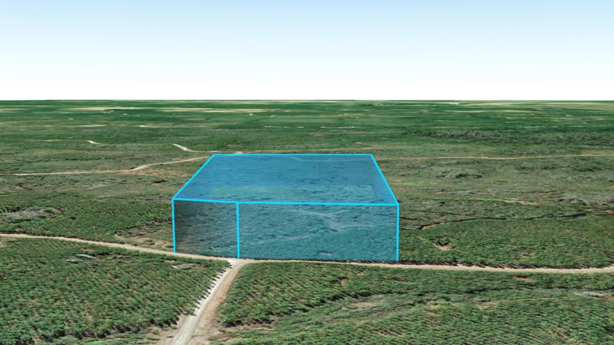 Circle Block Loop Greenville, FL 32331 - Photo 3 of 6