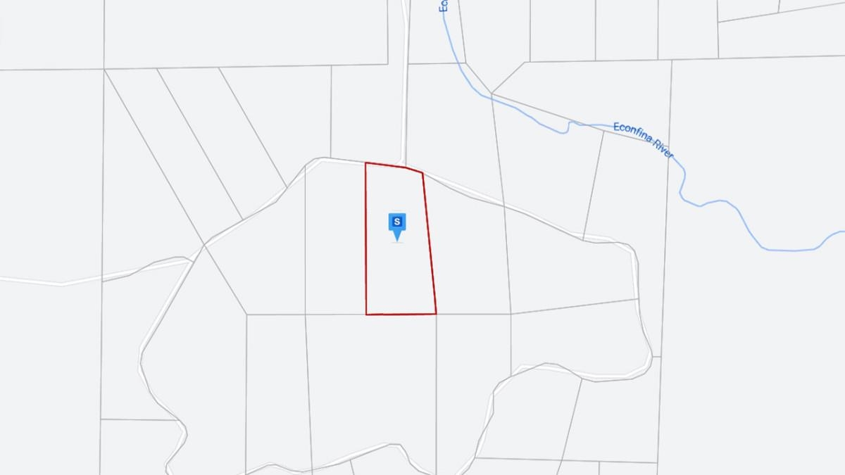 Circle Block Loop Greenville, FL 32331 - Photo 4 of 6