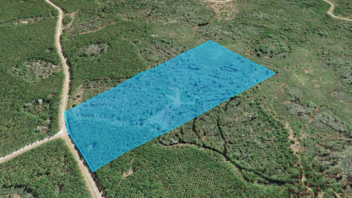 Circle Block Loop Greenville, FL 32331 - Photo 5 of 6