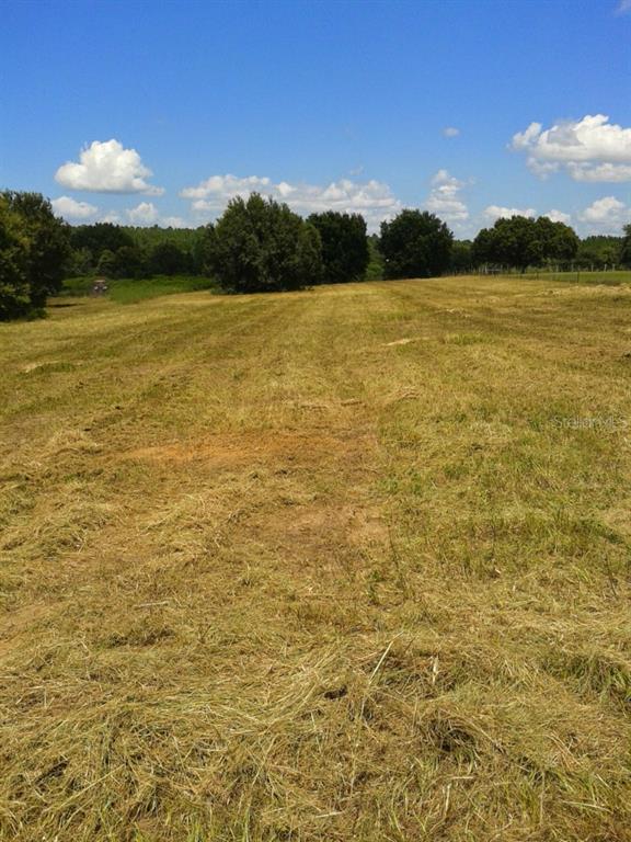 Morgan Horse Road Groveland, FL 34736 - Photo 1 of 1 Gallery Image 1