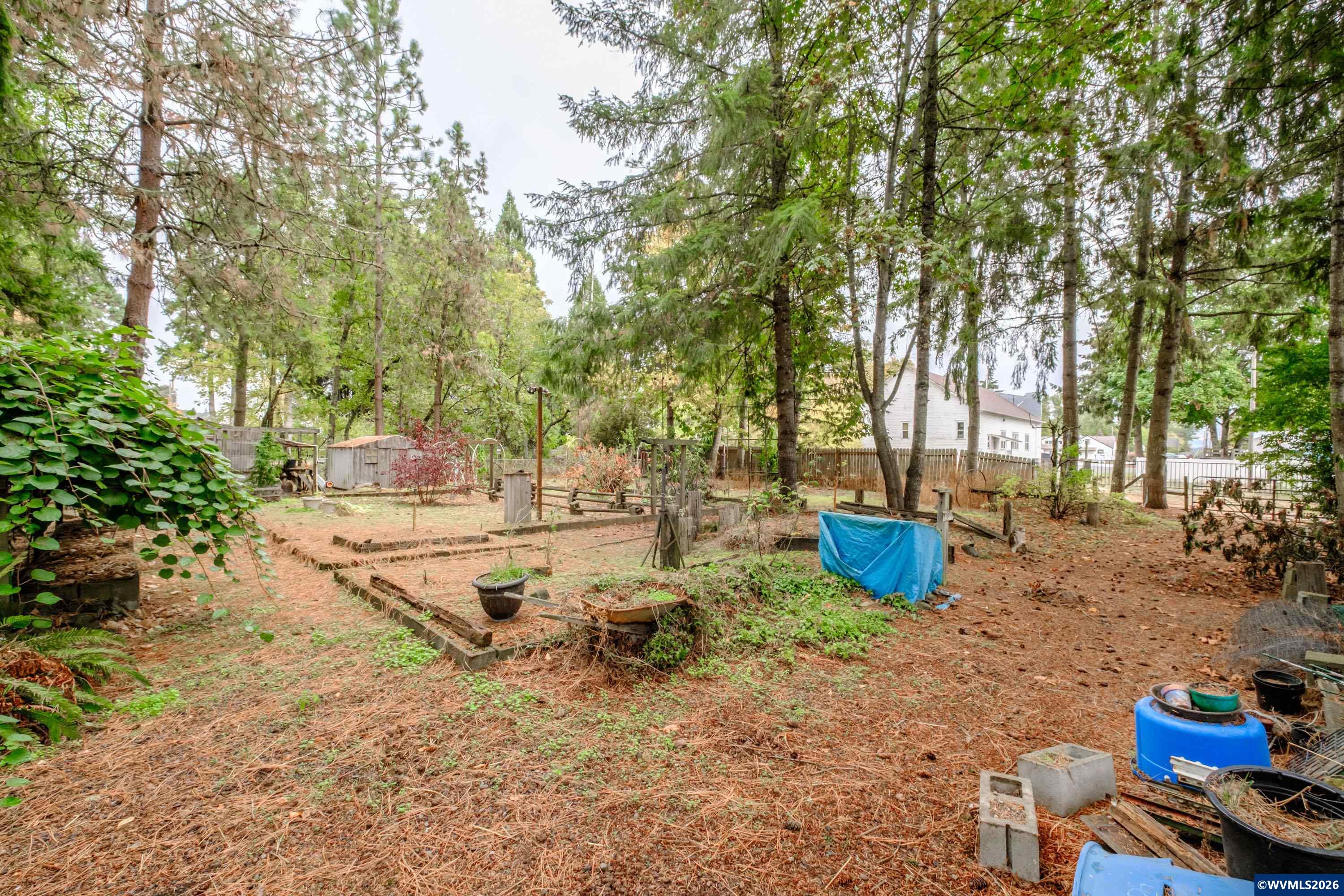 Lot 030100 Southwest Beech Street Scio, OR 97374 - Photo 36 of 41